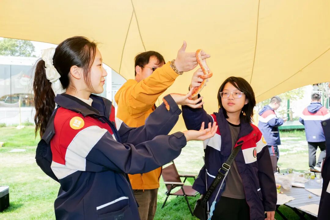 eafbfea68a90e4fb8b2be07e3a21f488-sz_106546.jpg